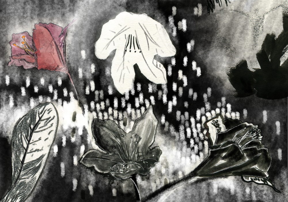 fleurs_freidhof 2.png