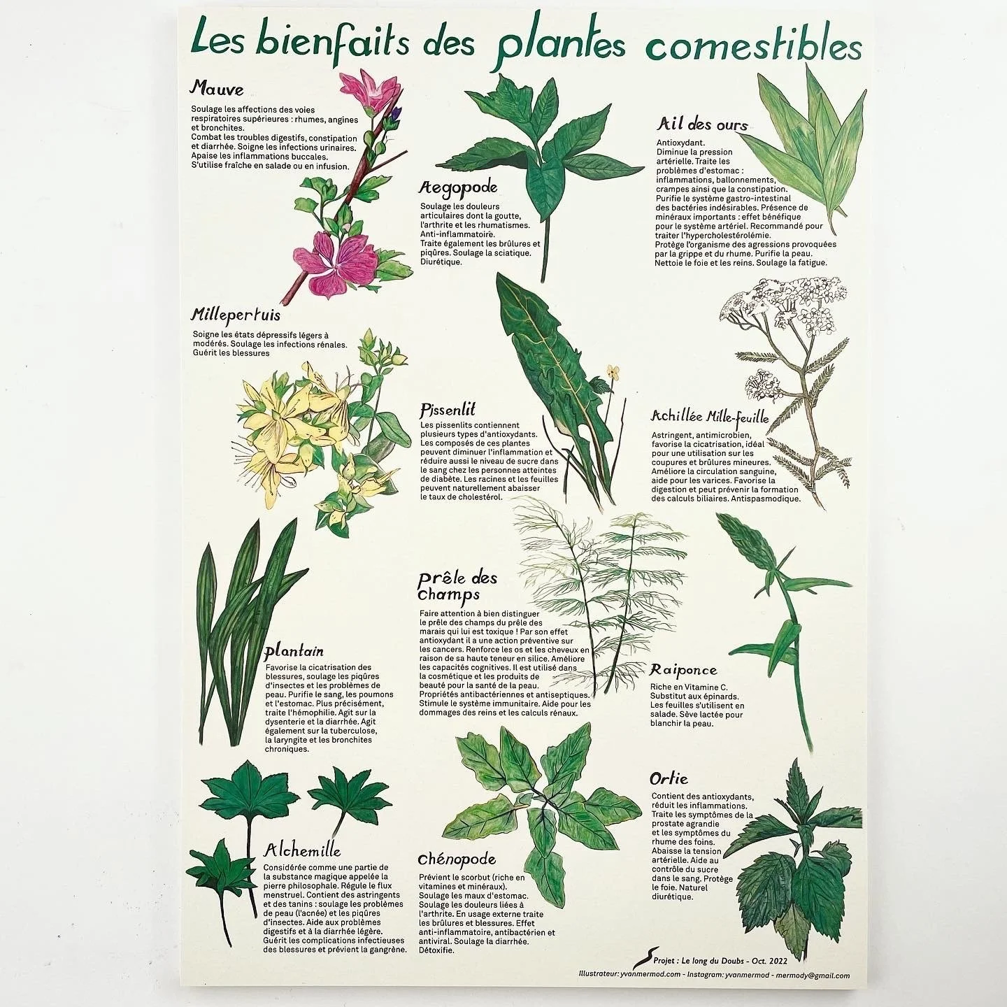Les plantes comestibles