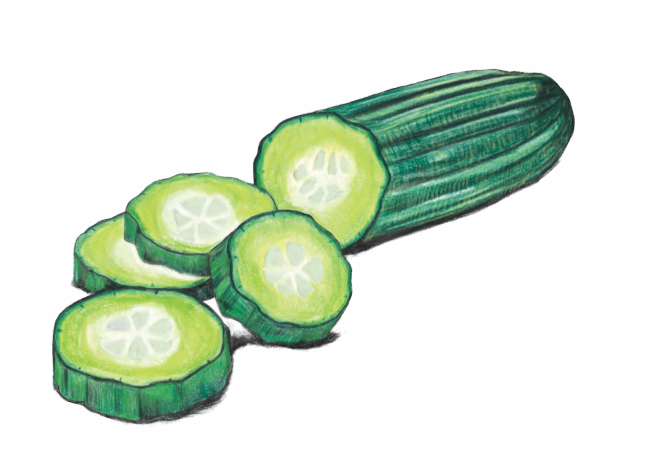 Cucumber.png