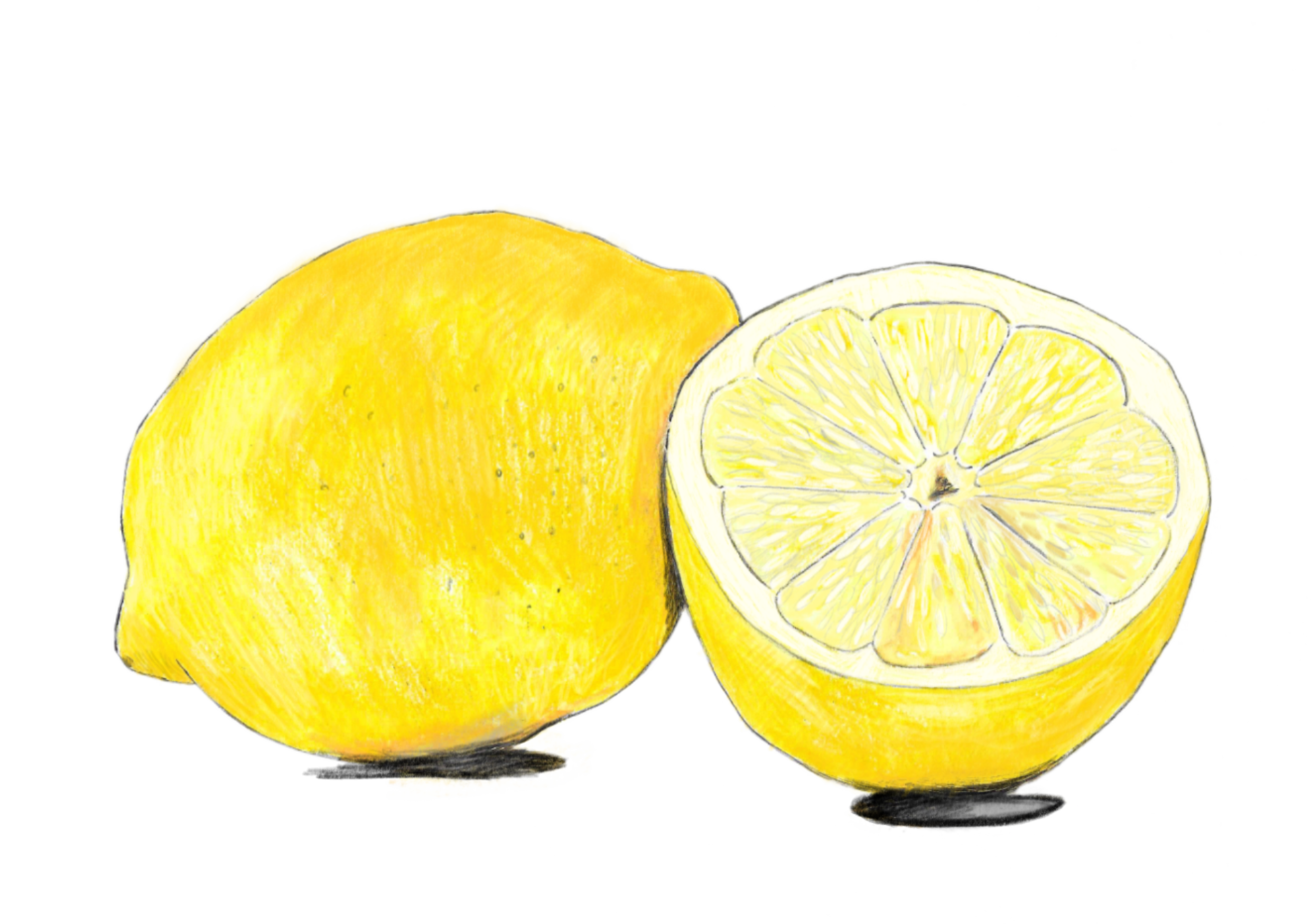 Lemon 2.png