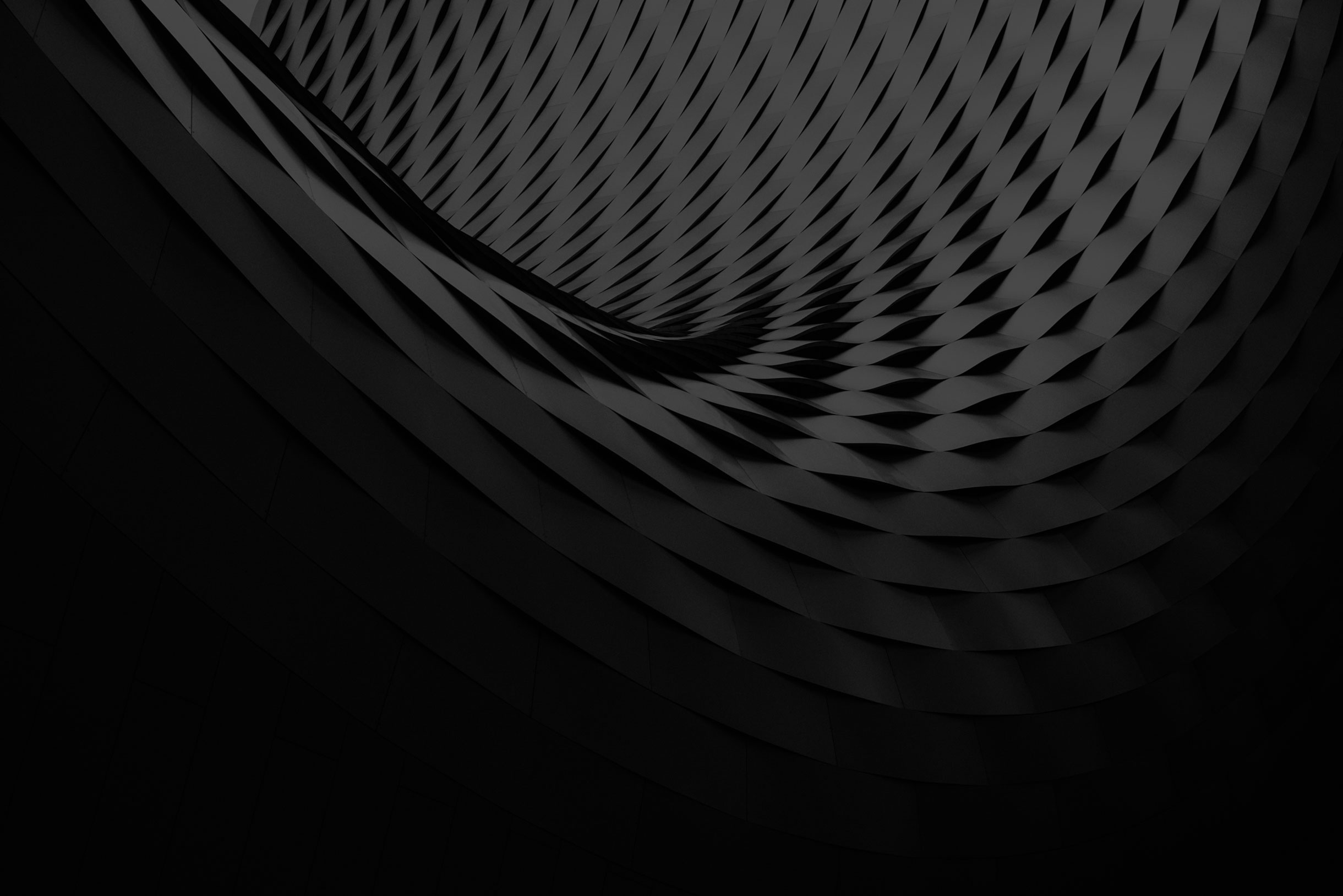 banner.jpg