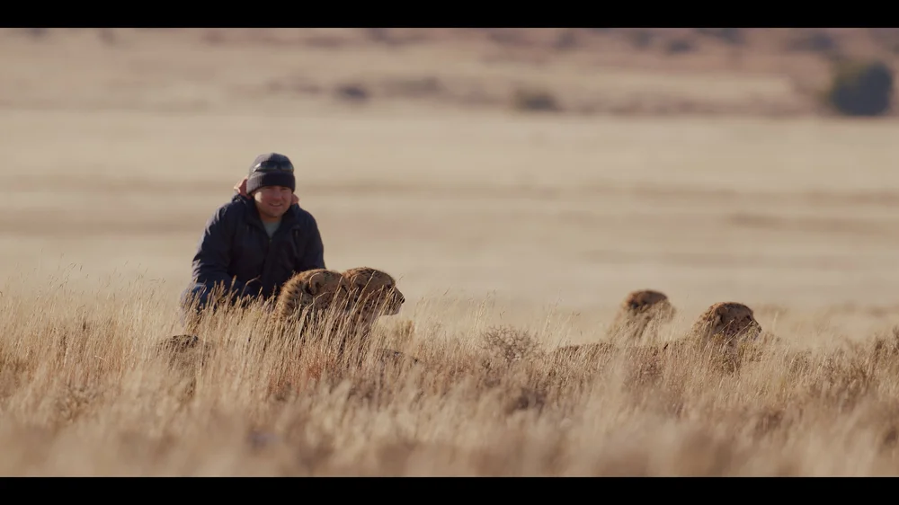 12 Cheetahs_2.15.1.jpg