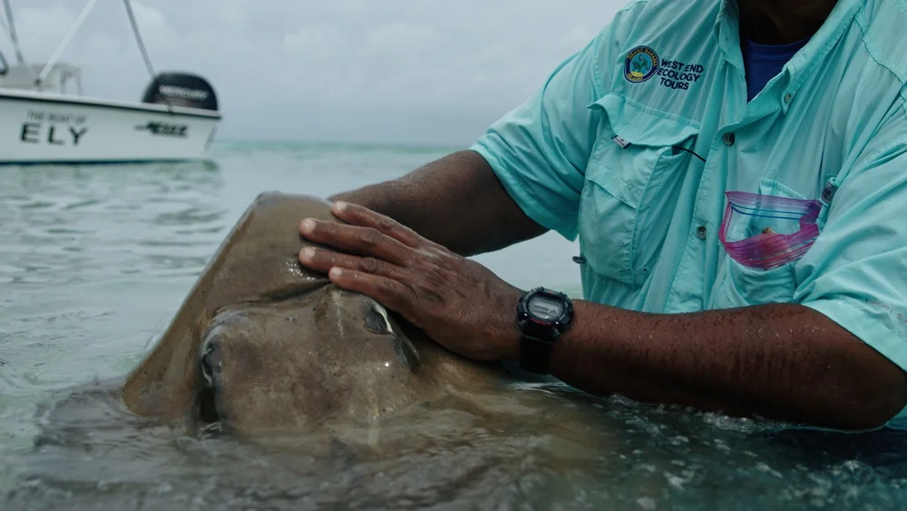 DotW_S02E08-Shark and Ocean Conservation_21.jpg