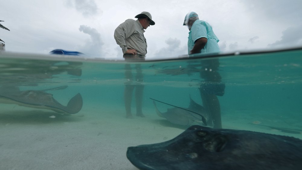 DotW_S02E08-Shark and Ocean Conservation_20.jpg