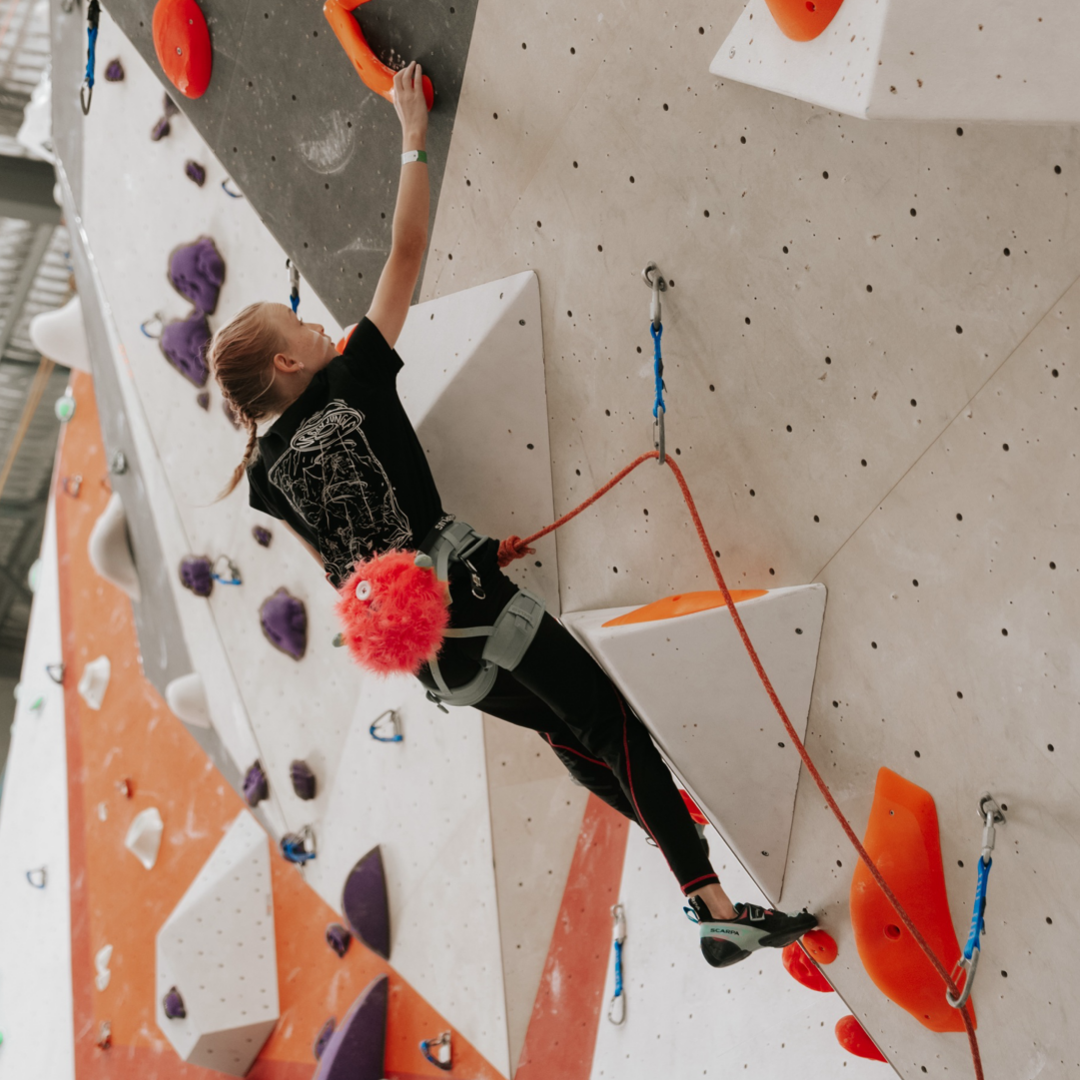 Urban Jungle Indoor Rock Climbing Perth