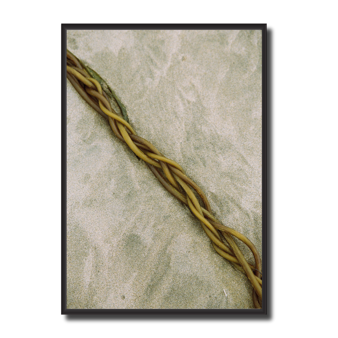 For Scouty - Limited Edition 02