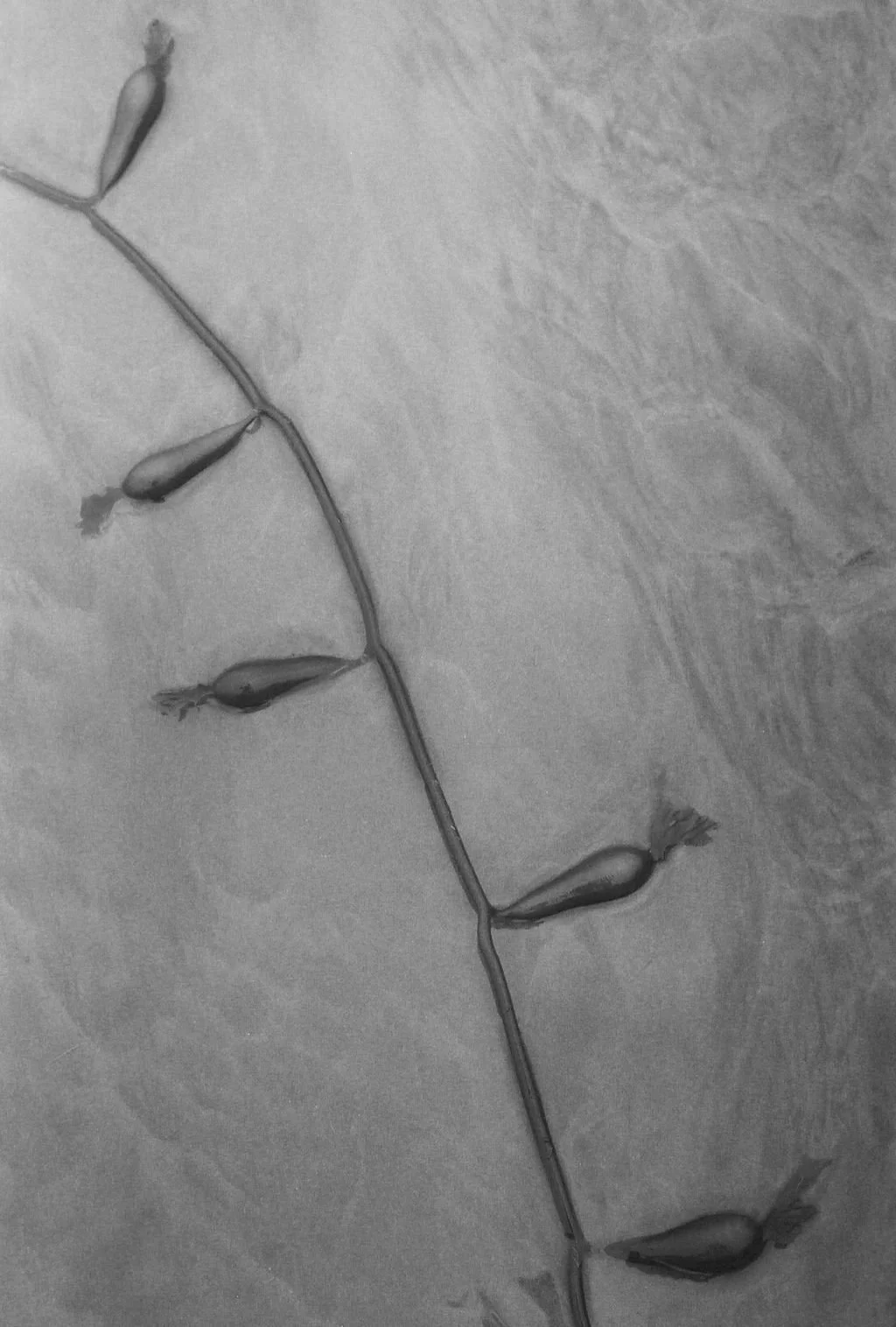 000019-2(1).JPG