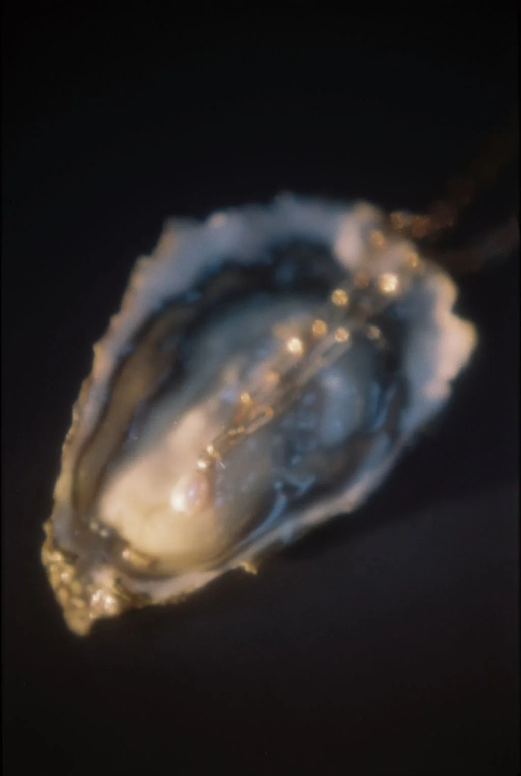 000035-2.JPG