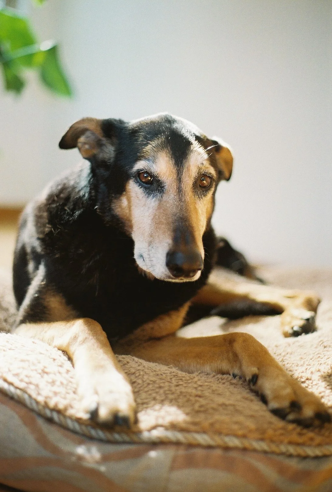 JessieMcNaught2024-1679.jpg (Copy)