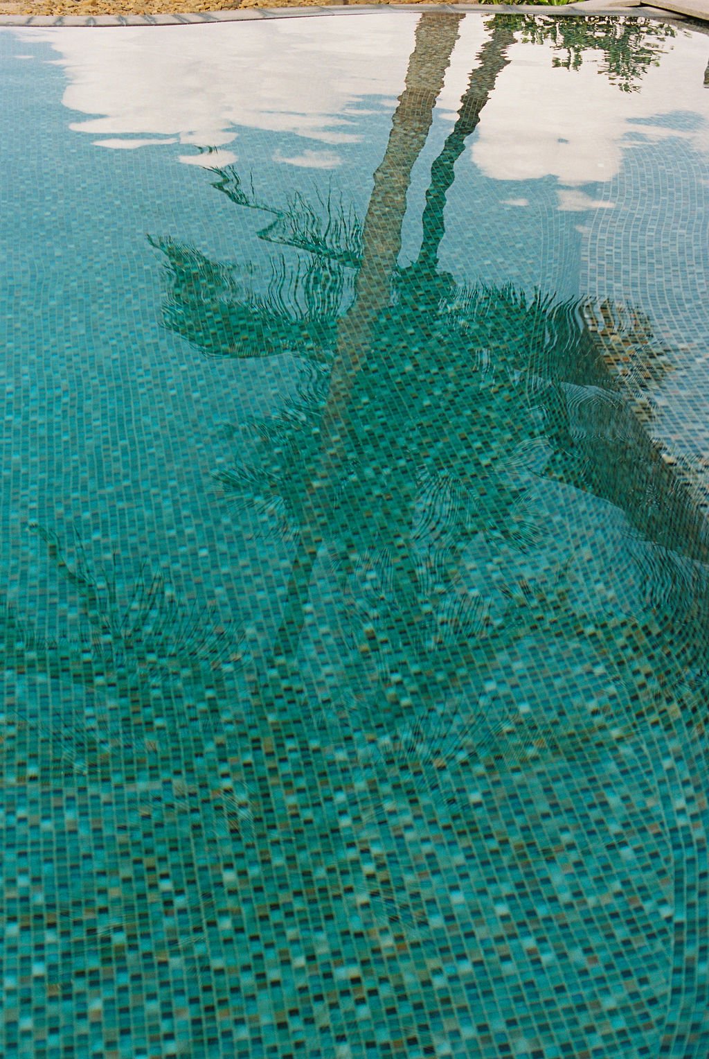 JM080426028047-24.jpg