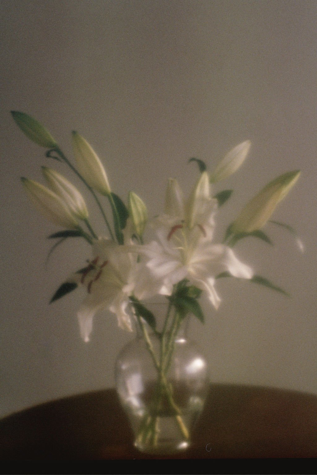 ---_0438.jpg
