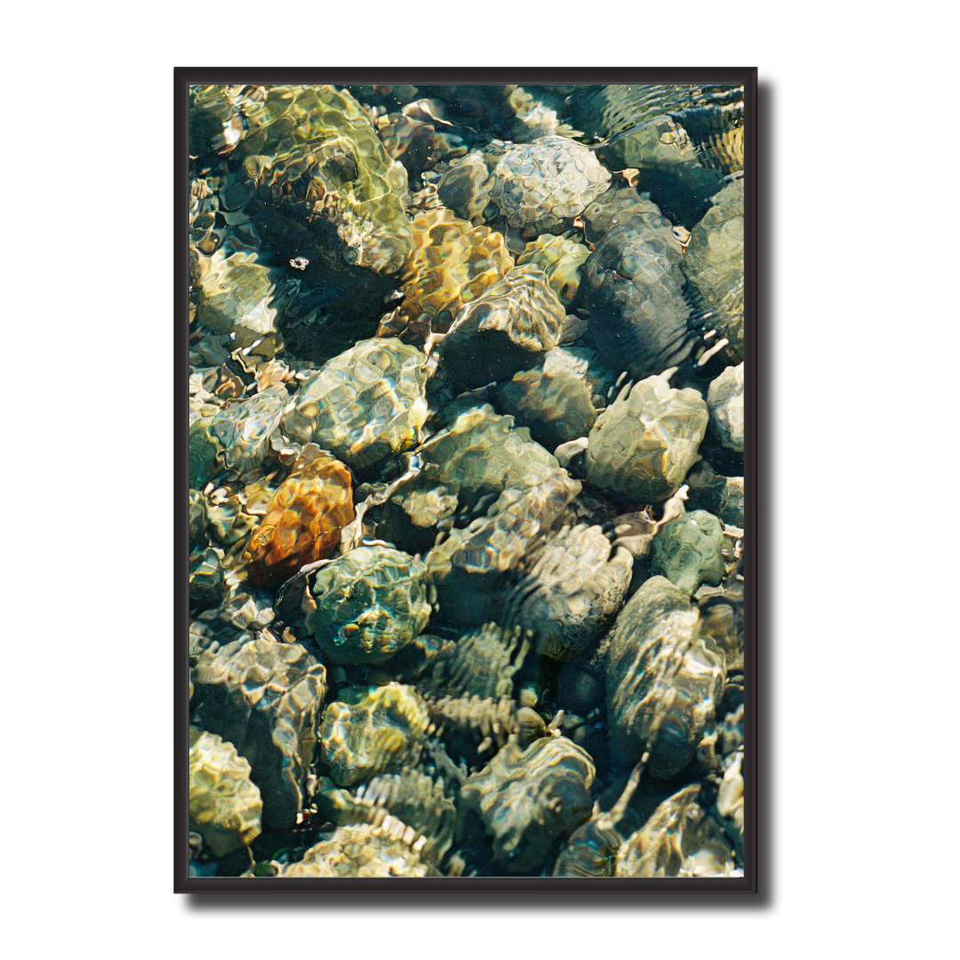 For Scouty - Limited Edition 01