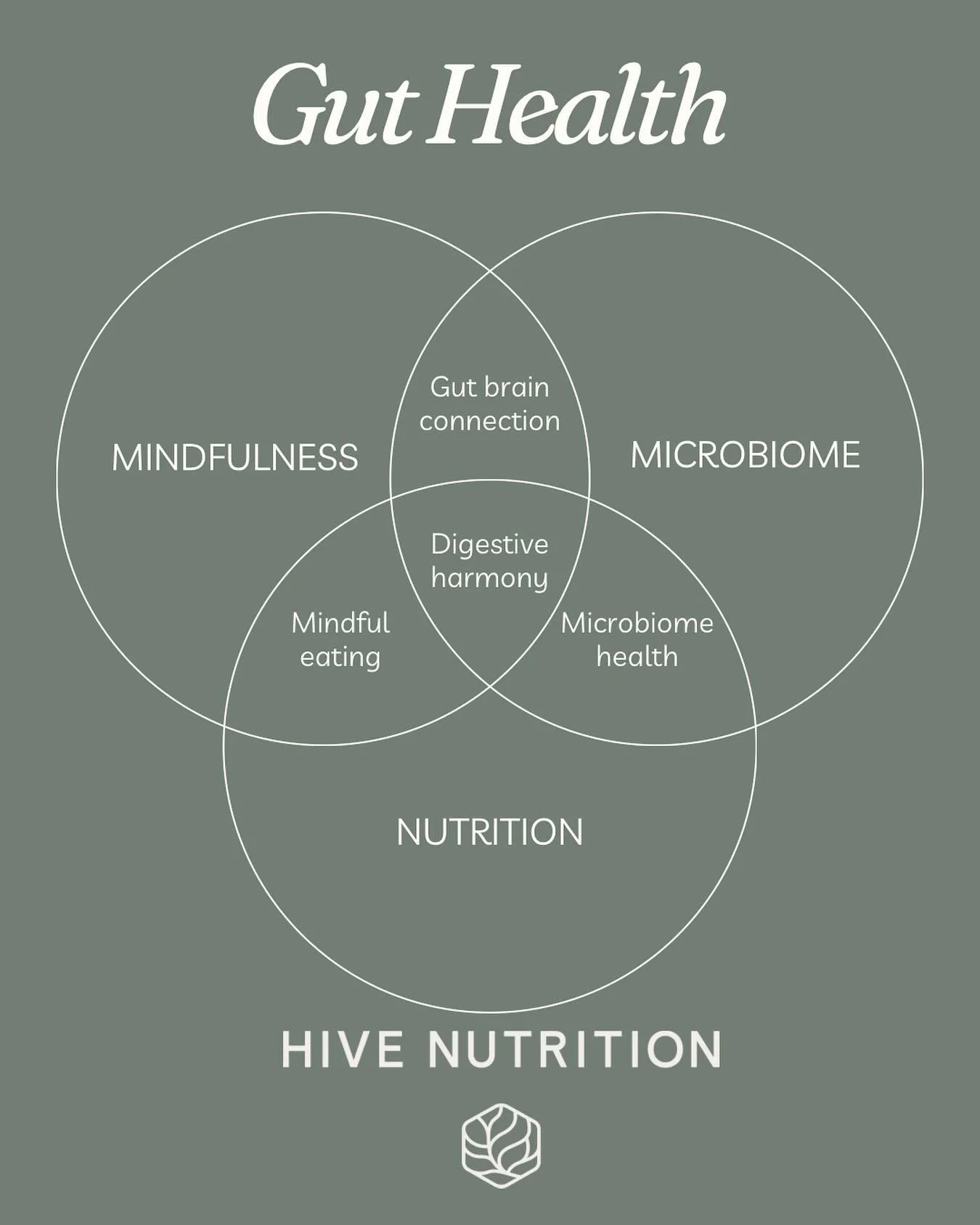 Gut health is a topic I frequently discuss with my clients. It&rsquo;s a complex, interconnected system&mdash;kind of like one of those old-school Venn diagrams we used to see in school! When dietitians talk about a &ldquo;healthy gut,&rdquo; we&rsqu
