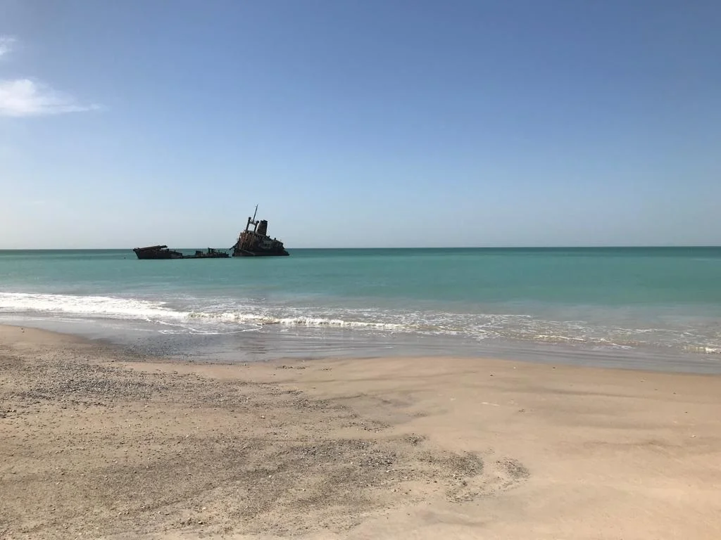 WhatsApp Image 2019-03-15 at 13.52.58.jpeg