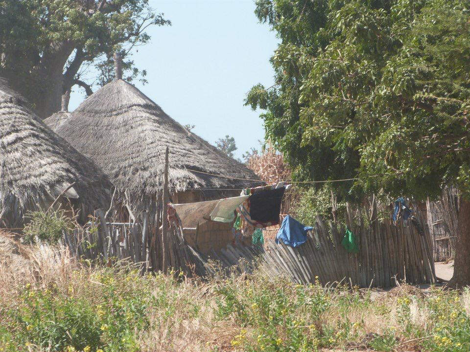 WhatsApp Image 2019-03-15 at 14.10.05 (6).jpeg