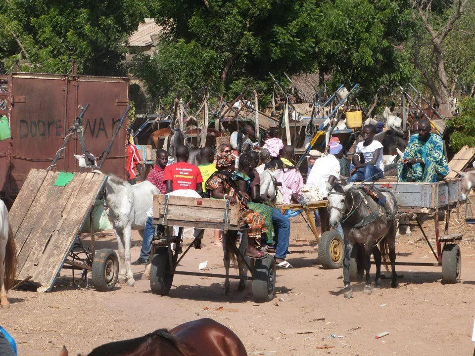 WhatsApp Image 2019-03-15 at 14.10.05 (8).jpeg