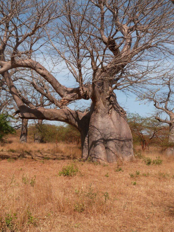 WhatsApp Image 2019-03-15 at 14.10.05 (14).jpeg