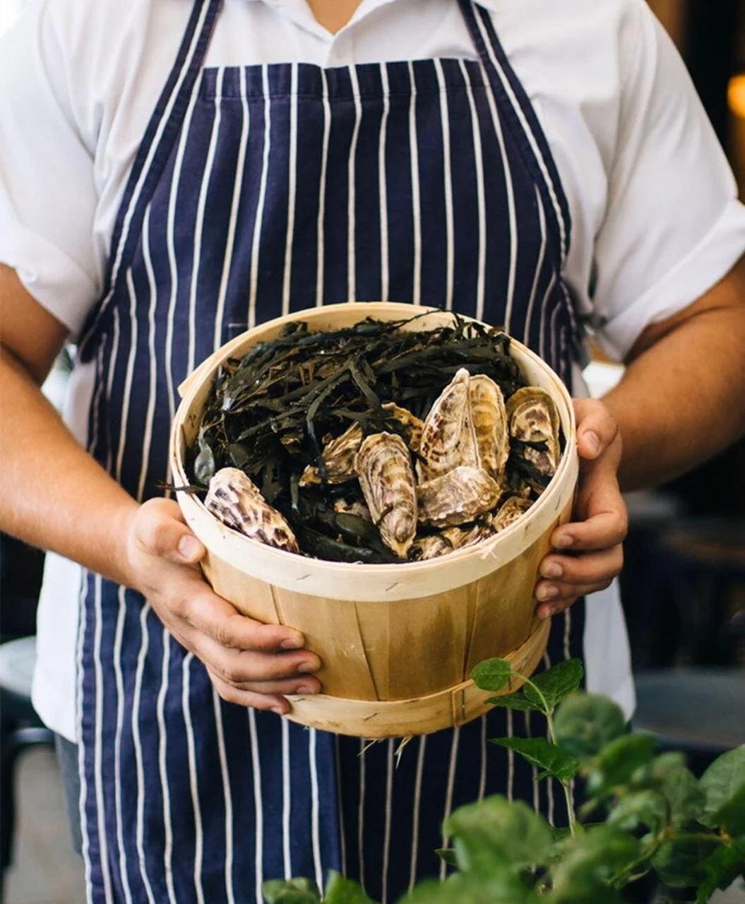 The MAINE Oyster Bar & Grill JBR Dubai