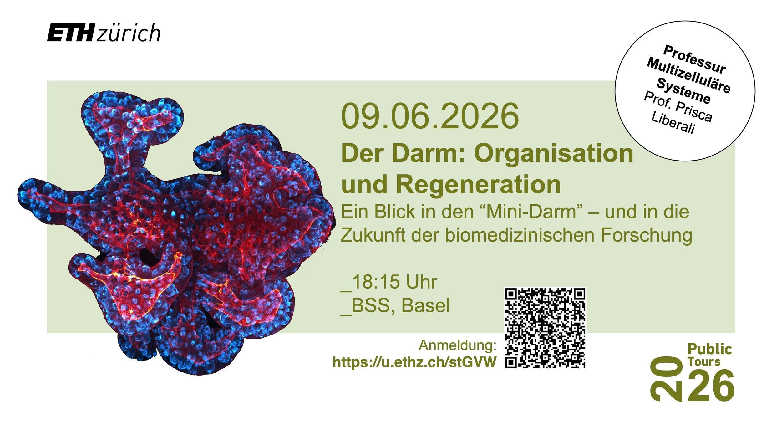 Events-200-BSSE-0-20260609-PublicTour.jpg
