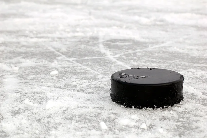 ice_hockey_puck_lr.jpg