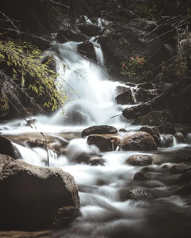 After Bariloche we went up north towards the borders with Chile and Bolivia. This picture I took the day before we left Bariloche during one of the more beautiful hikes we did! &curren;
&curren;
&curren;
@visitargentina @fujifilmbelgium @fujifilmeu @