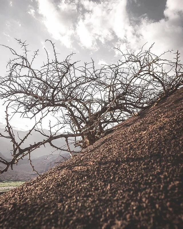 Do you notice that I liked it over there? What's your favourite place of your recent travels? 🏜
&curren;
&curren;
@visitargentina @fujifilmbelgium @fujifilmeu @visitsalta @visitcafayate #visitargentina #argentina #salta #visitsalta #cafayate #visitc