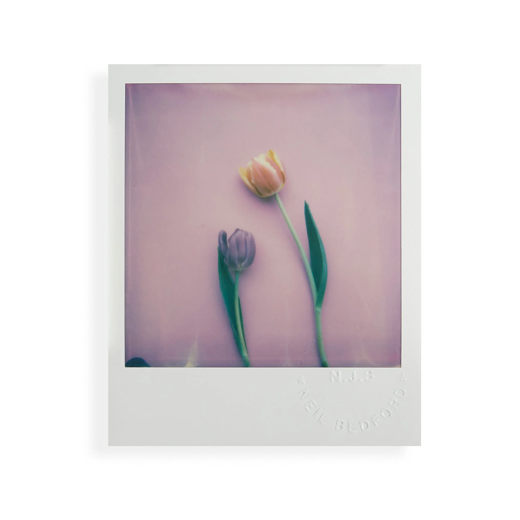 the_colour_white_034-copy.jpg