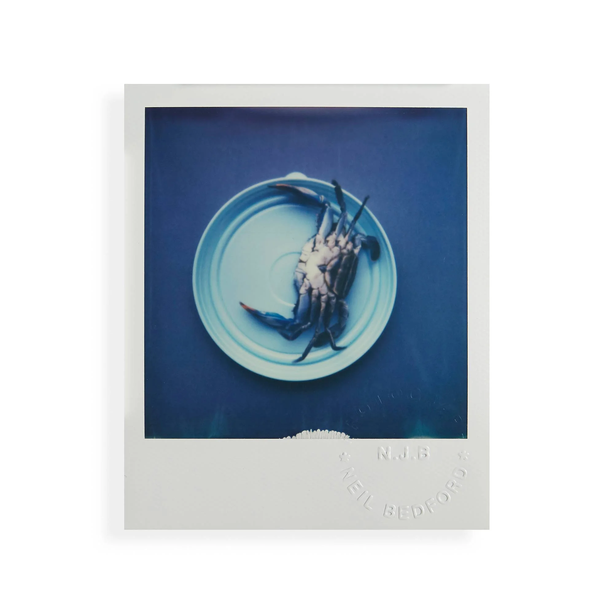 the-colour-white-polaroids-067.jpg