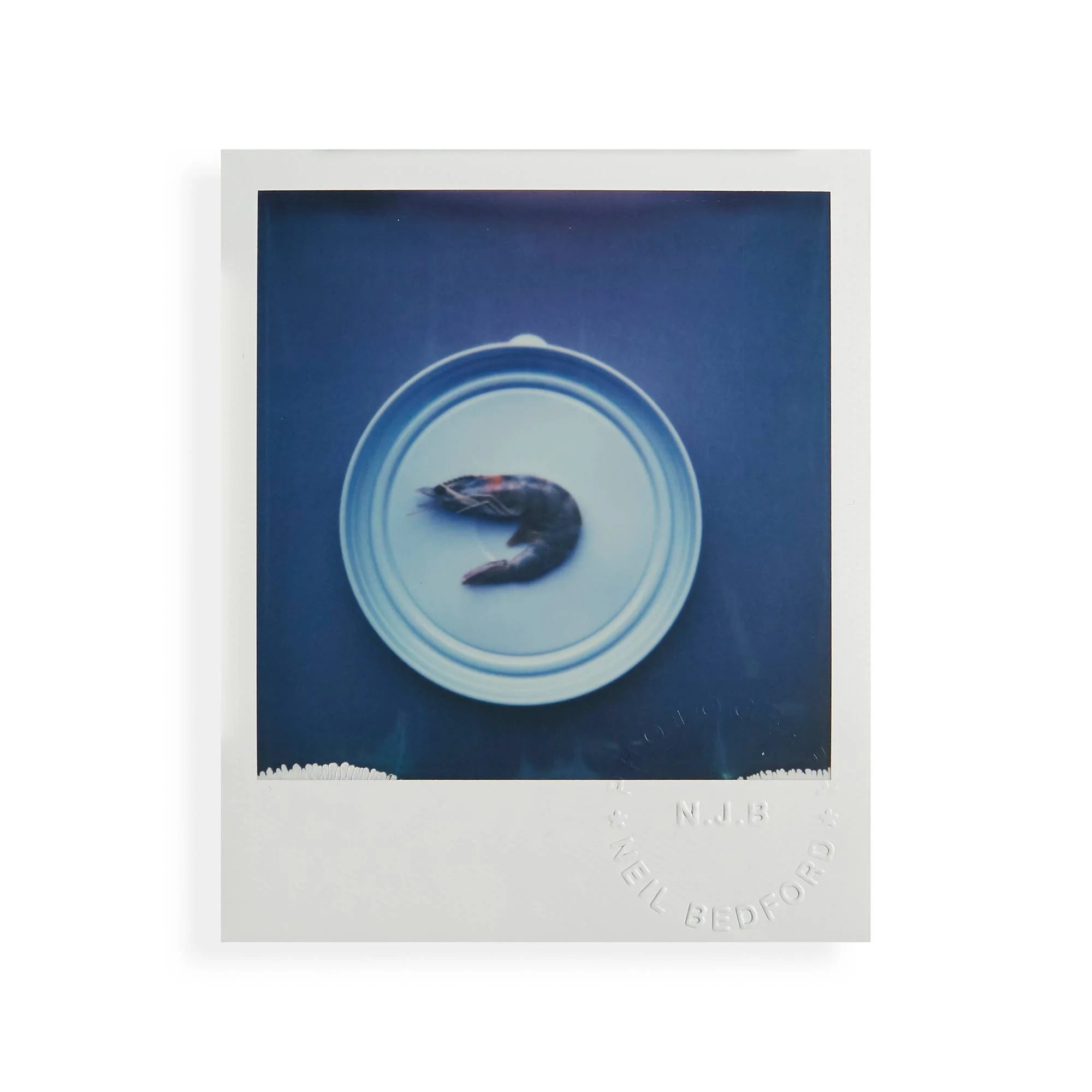 the-colour-white-polaroids-066.jpg