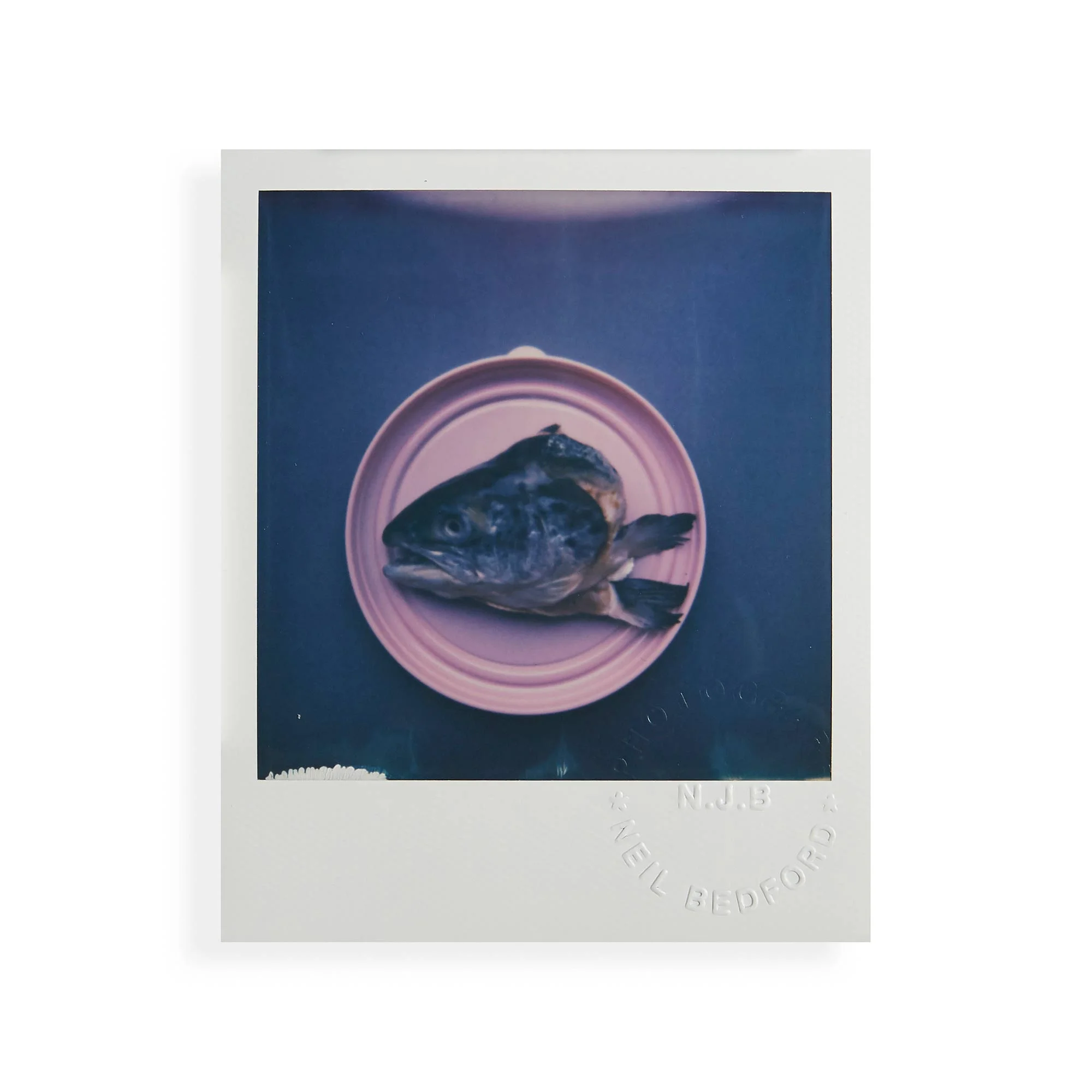 the-colour-white-polaroids-065.jpg