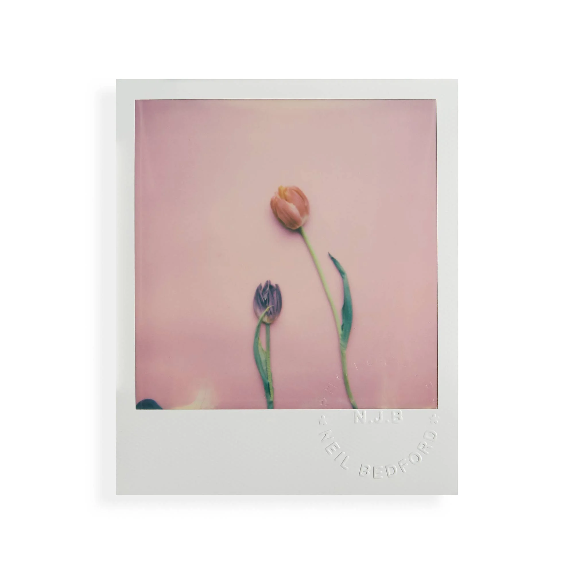 the-colour-white-polaroids-0112.jpg