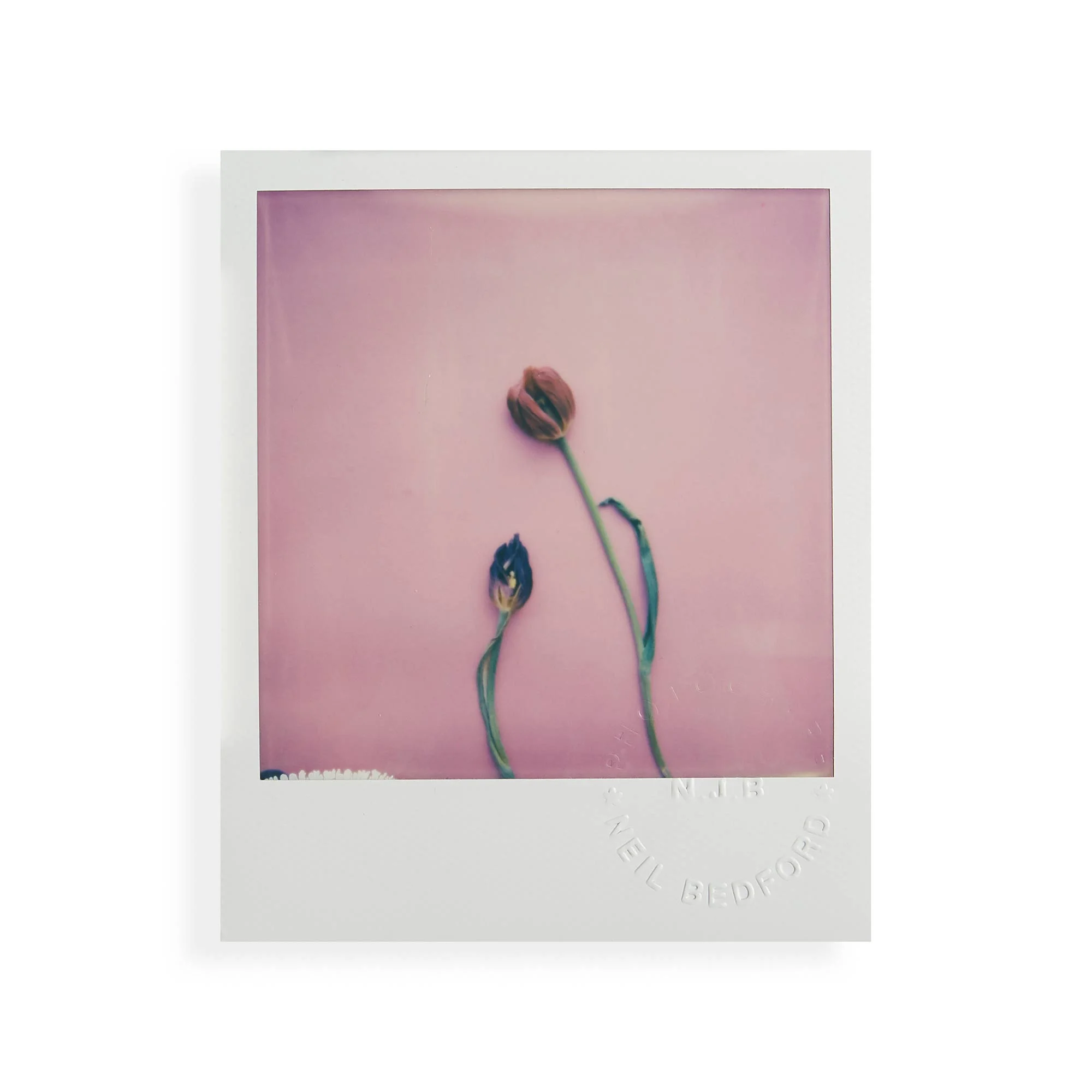 the-colour-white-polaroids-0113.jpg