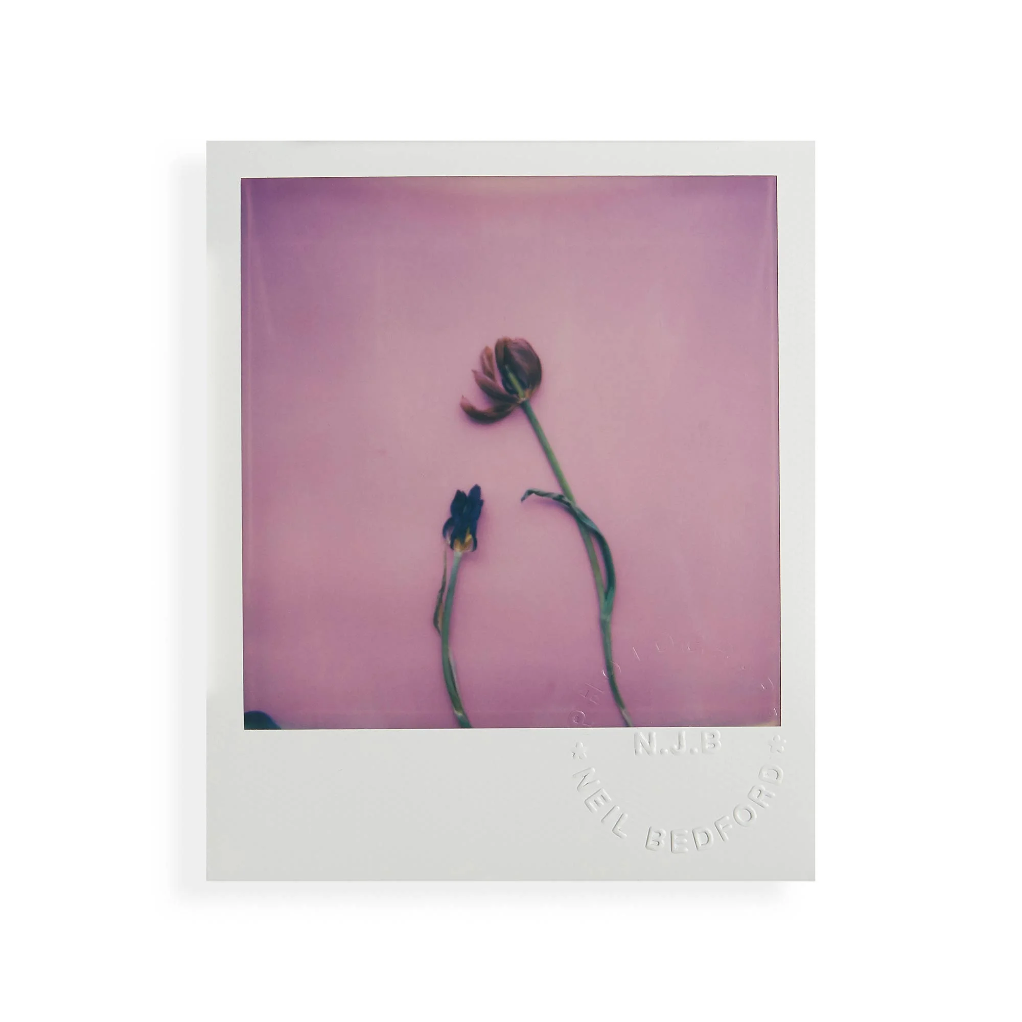 the-colour-white-polaroids-0114.jpg