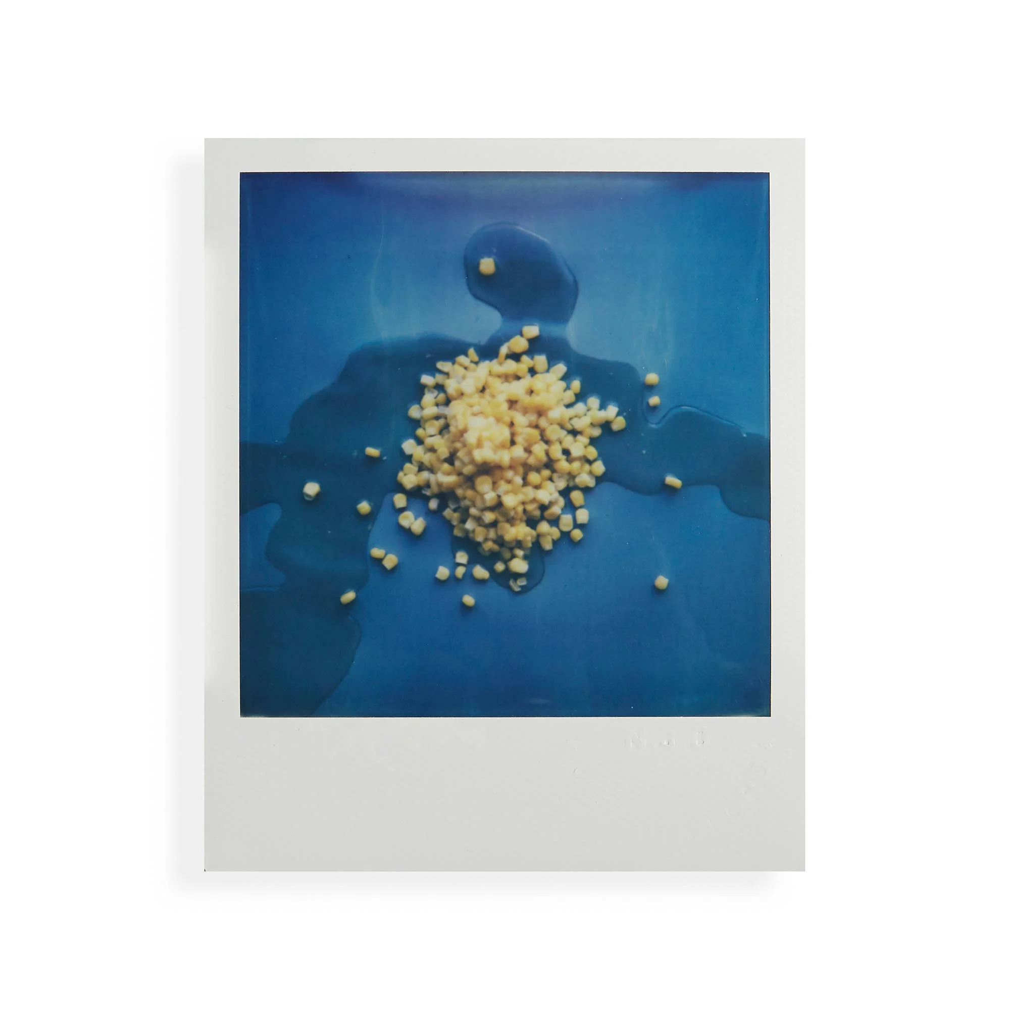 the-colour-white-polaroids-086.jpg