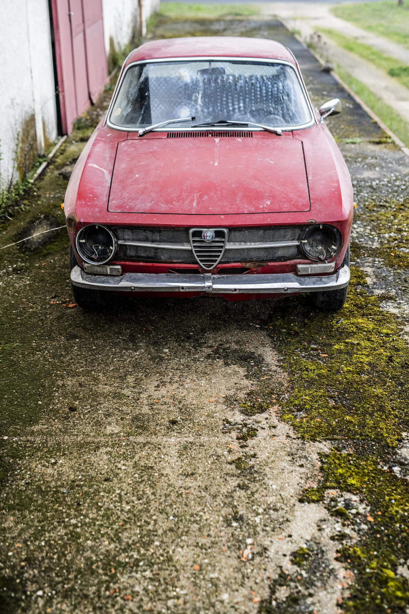 DSC_8795.jpg