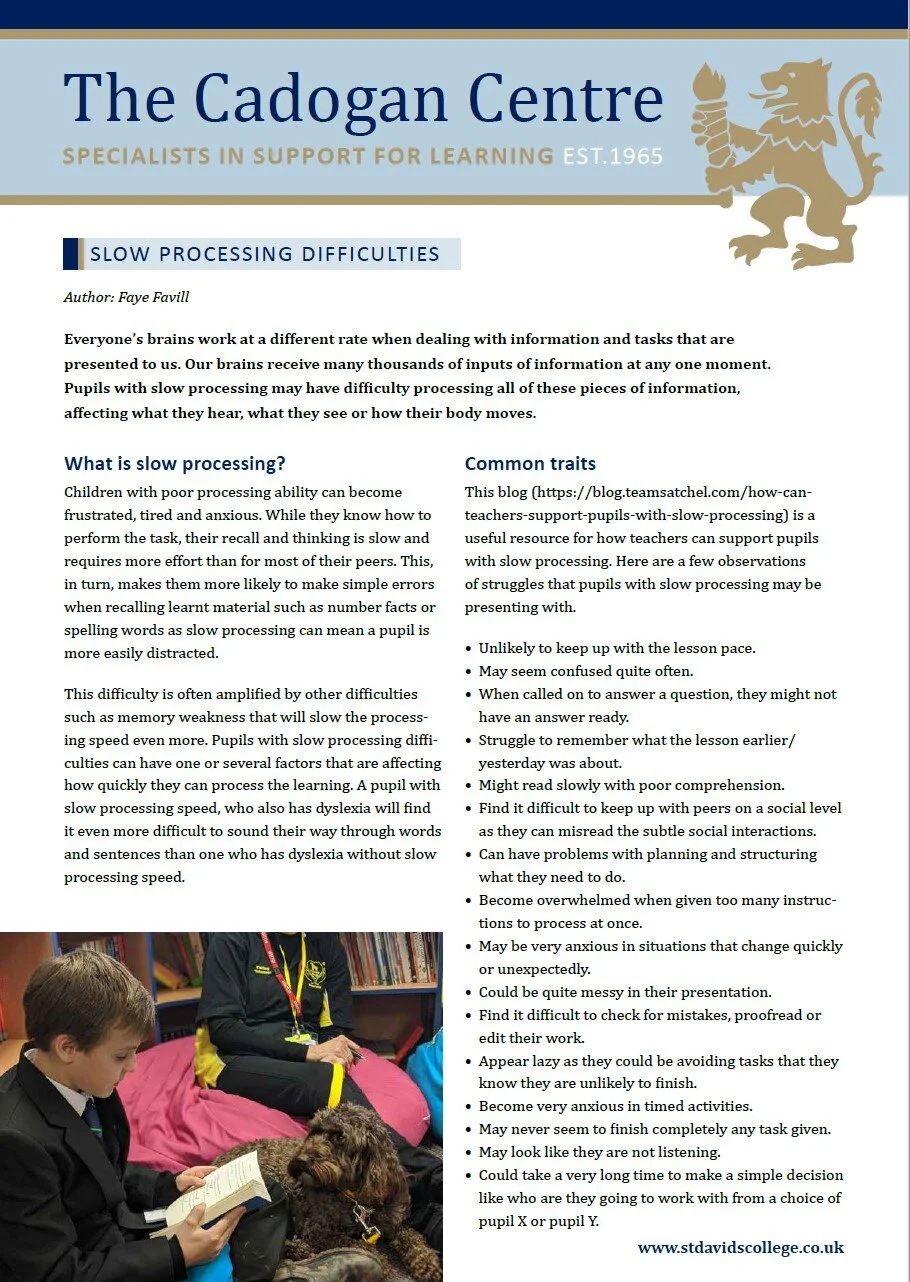  Click to download this resource pack about supporting a child with slow processing. 
