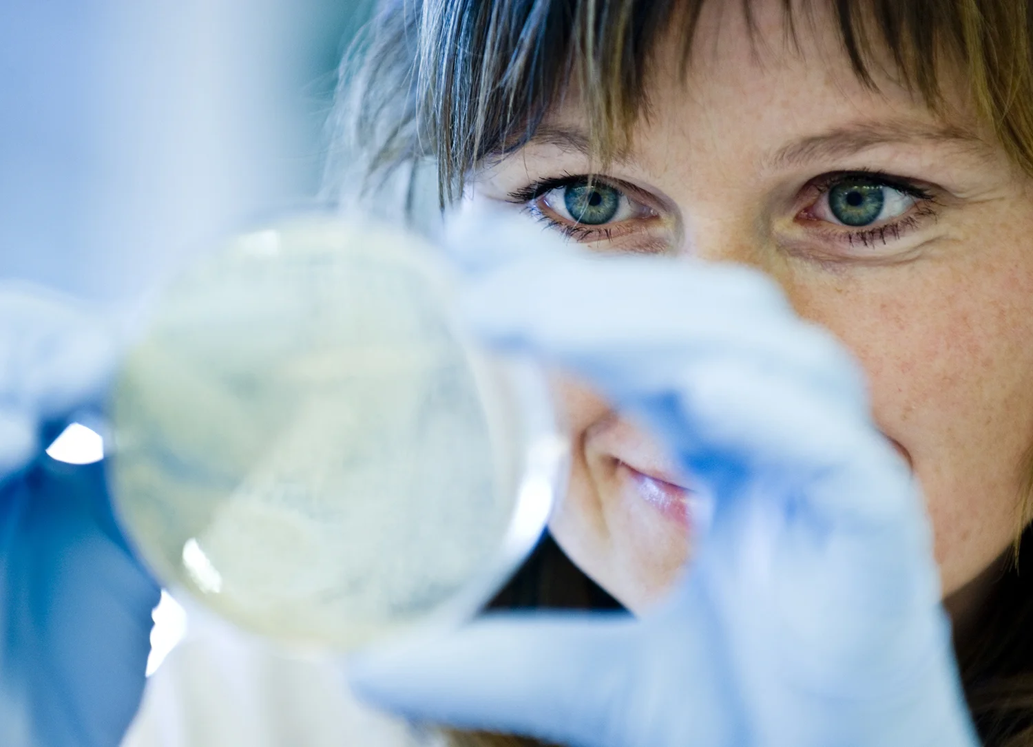 Laboratorie 6.jpg