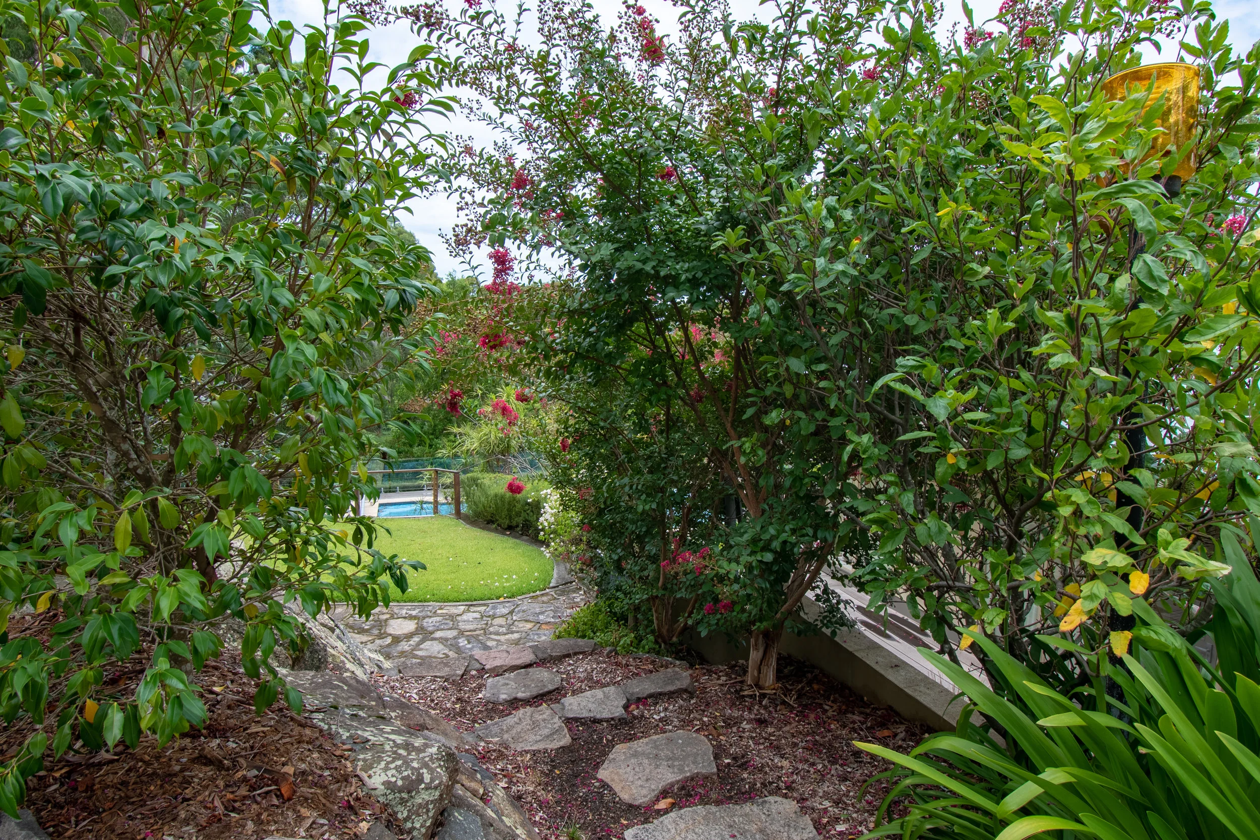 Garden 6.jpg