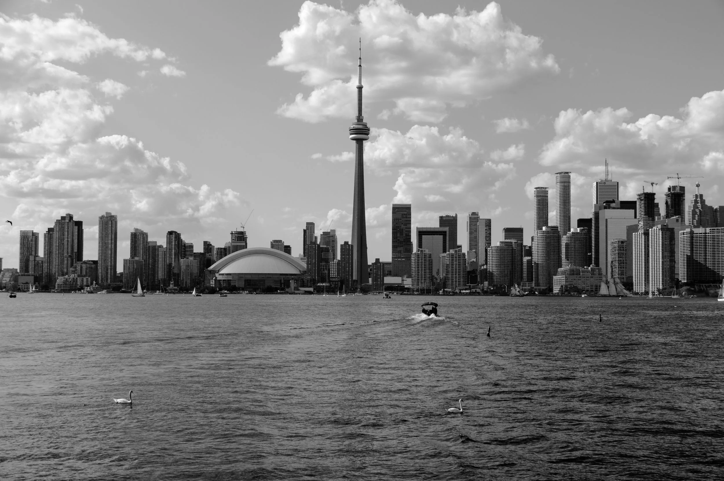 DSC_0772.jpg