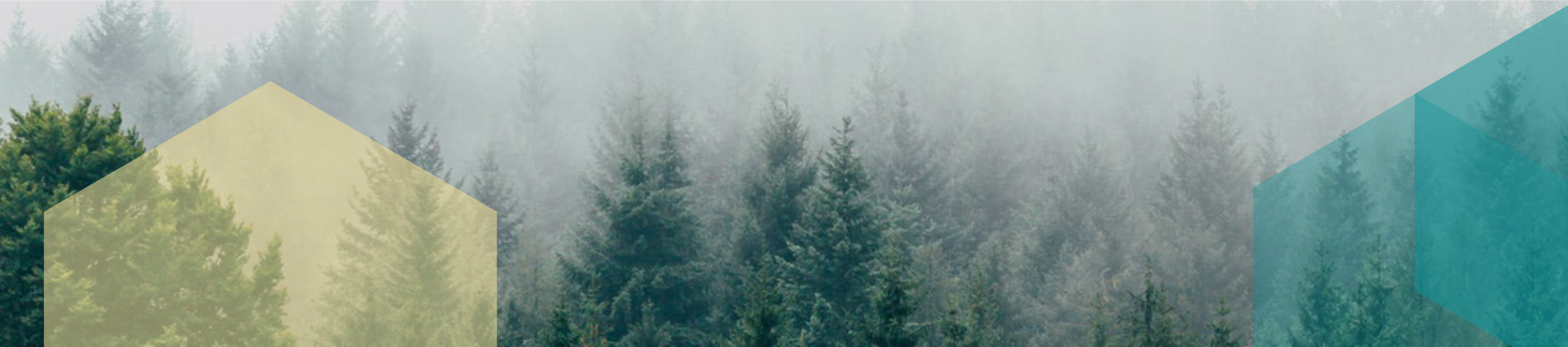 Conf title image test small.png
