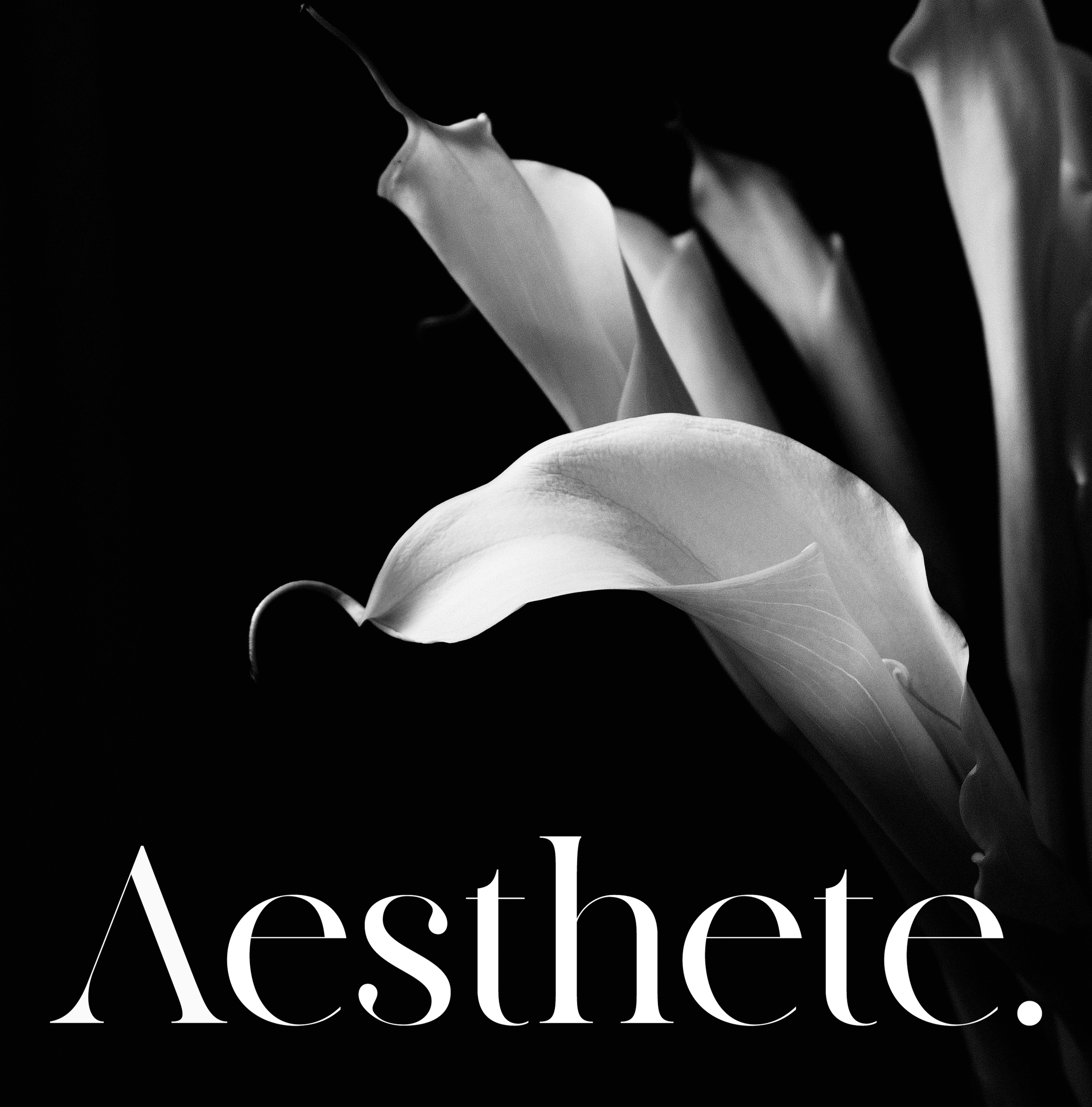 hanen-souhail-9B6NyaDxxKc-unsplash.png