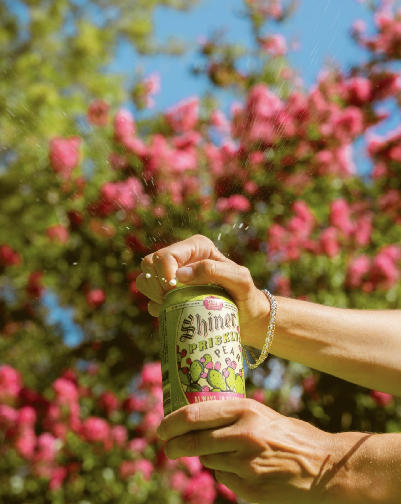 Screenshot 2024-11-10 at 12.29.35 AM.png