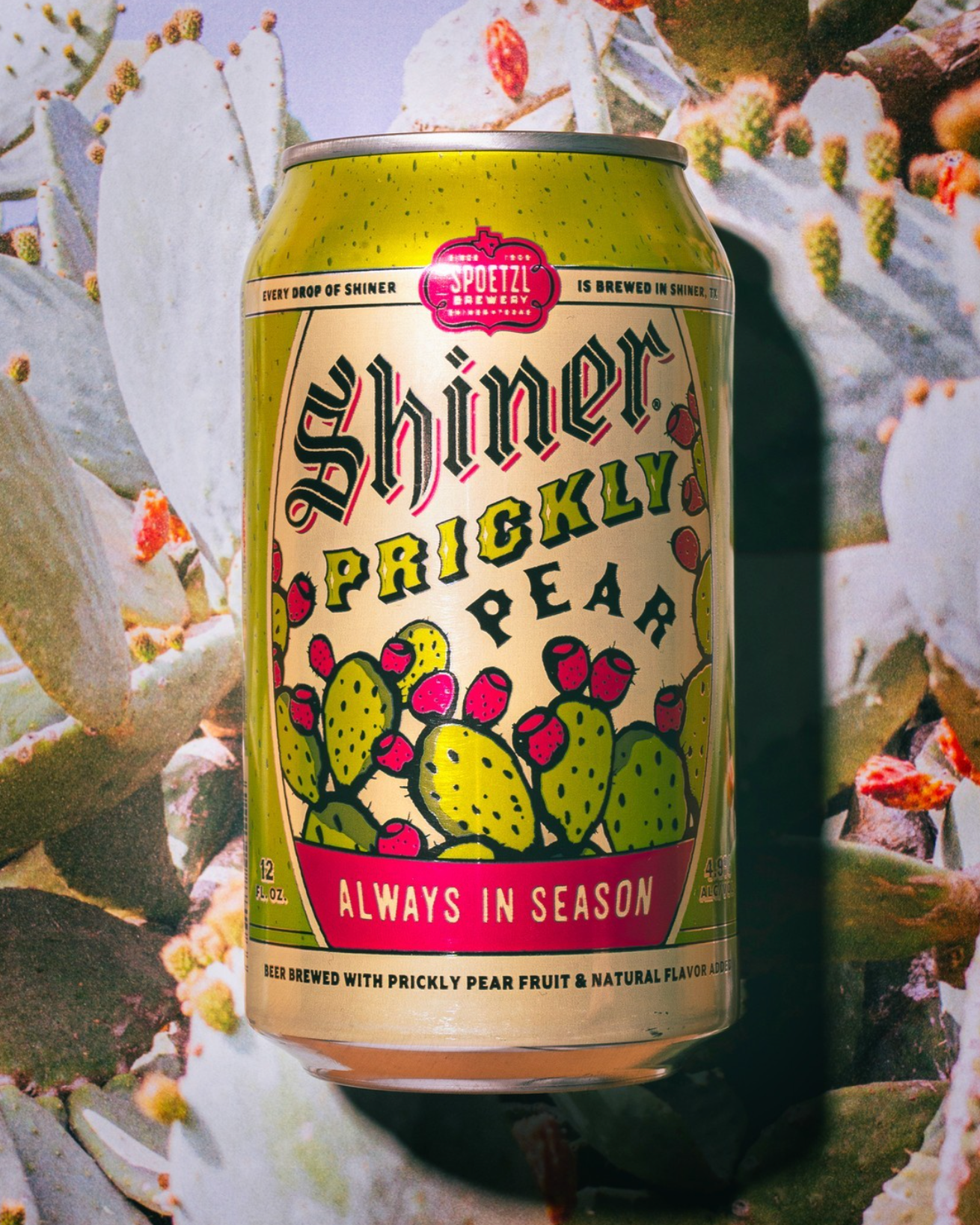 Screenshot 2025-10-18 at 5.07.16 PM.png