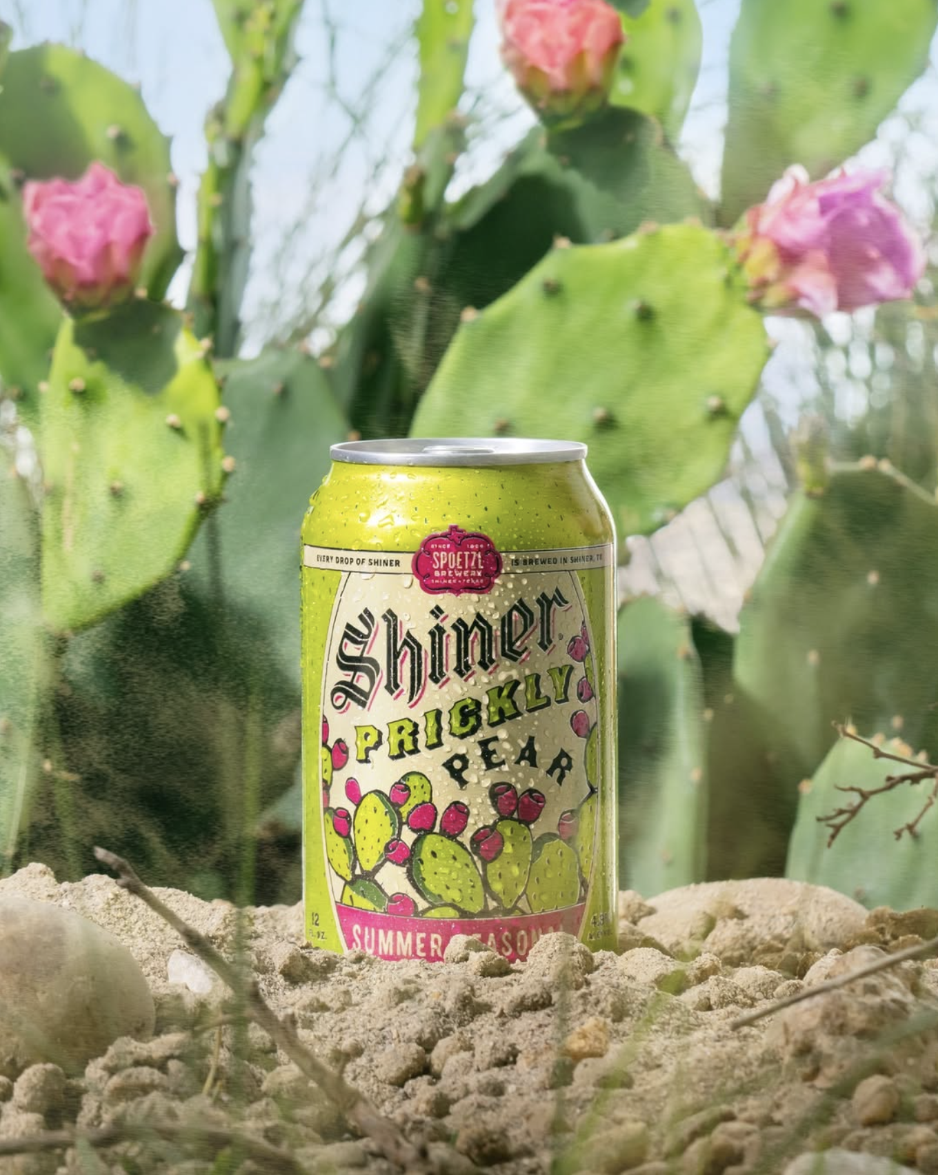 Screenshot 2025-10-18 at 5.08.32 PM.png