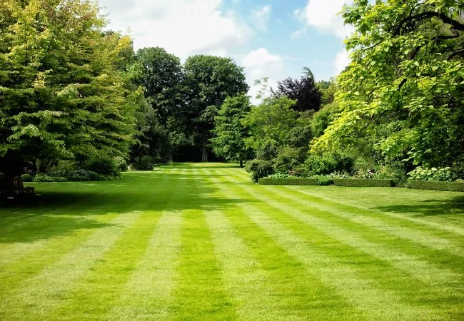 Lawn_Striping_Tips.jpg