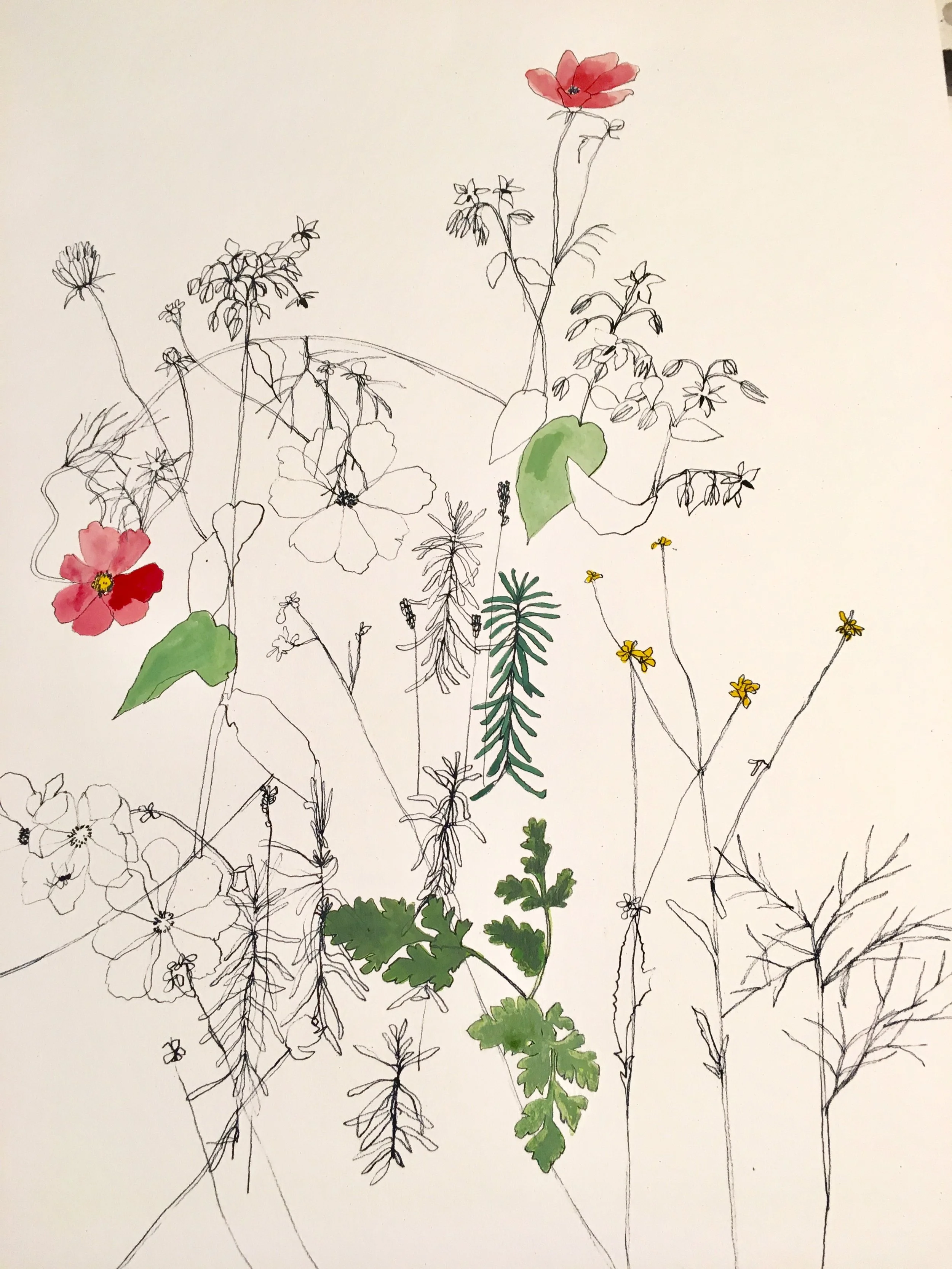 Flower Print
