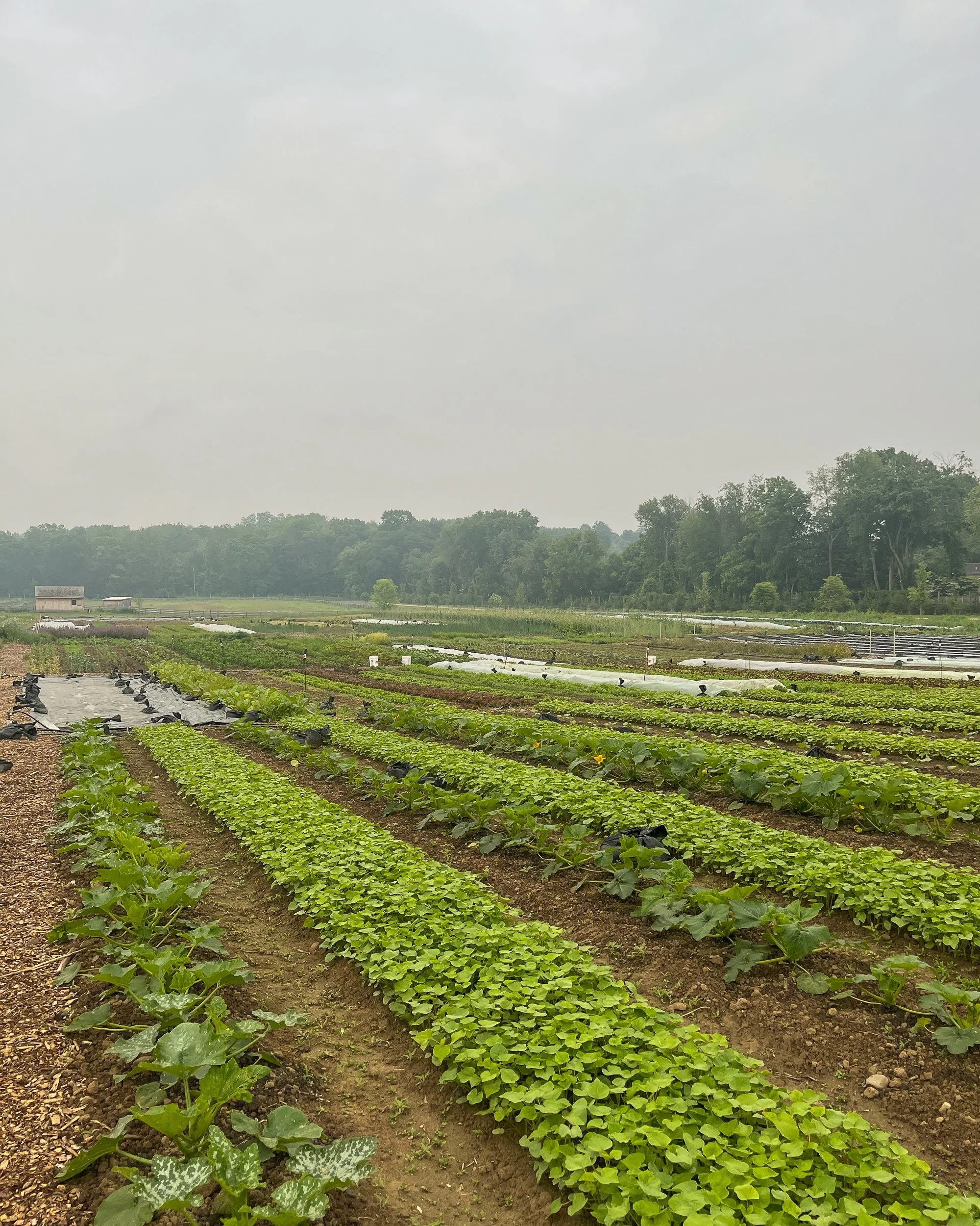 Farming Through Climate Change