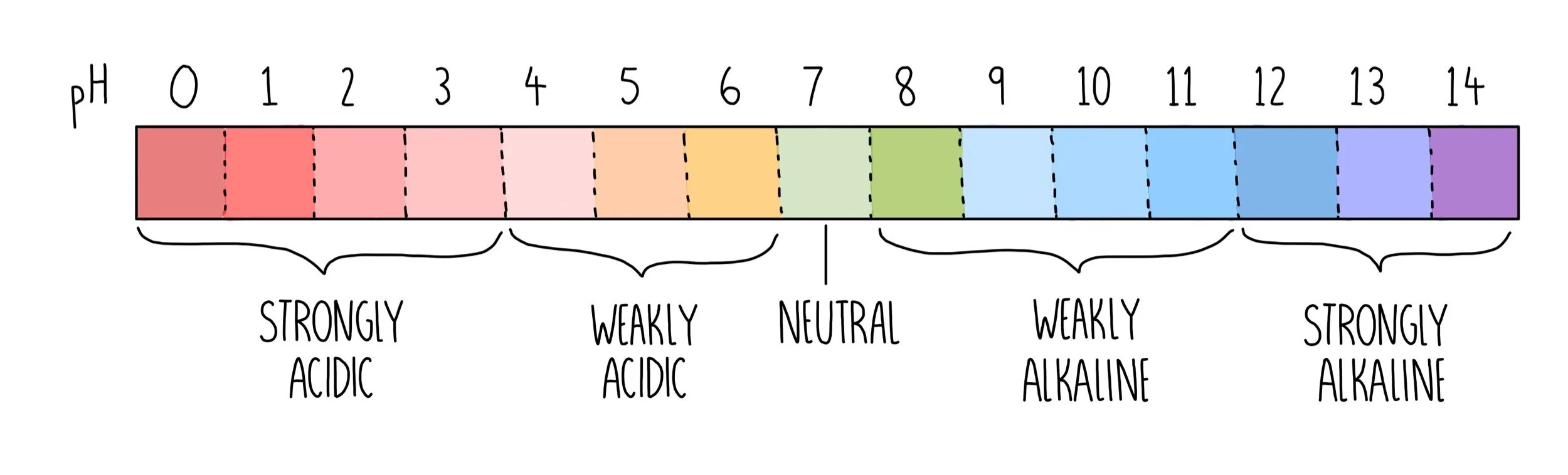 Acids, Alkalis and Titrations (GCSE) — the science hive