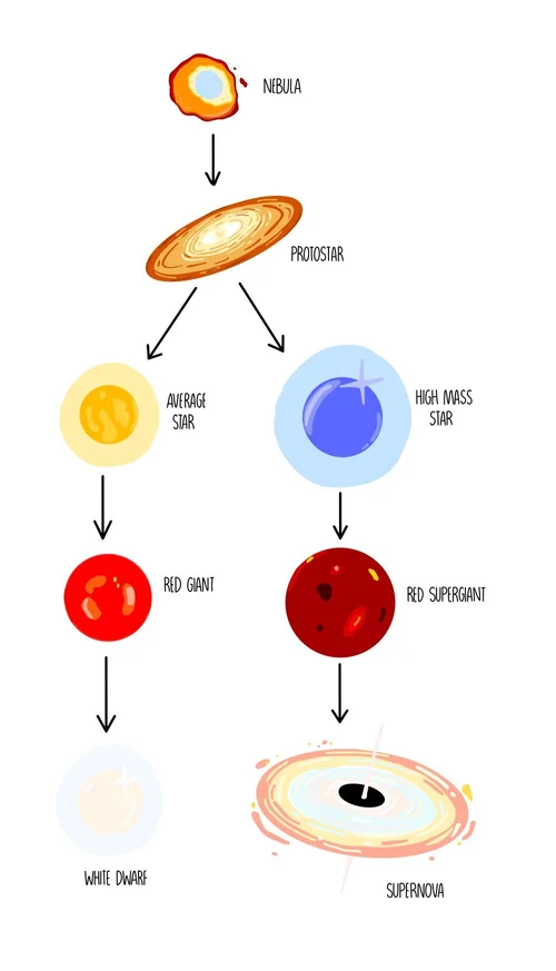 Stellar Evolution (GCSE) — the science sauce
