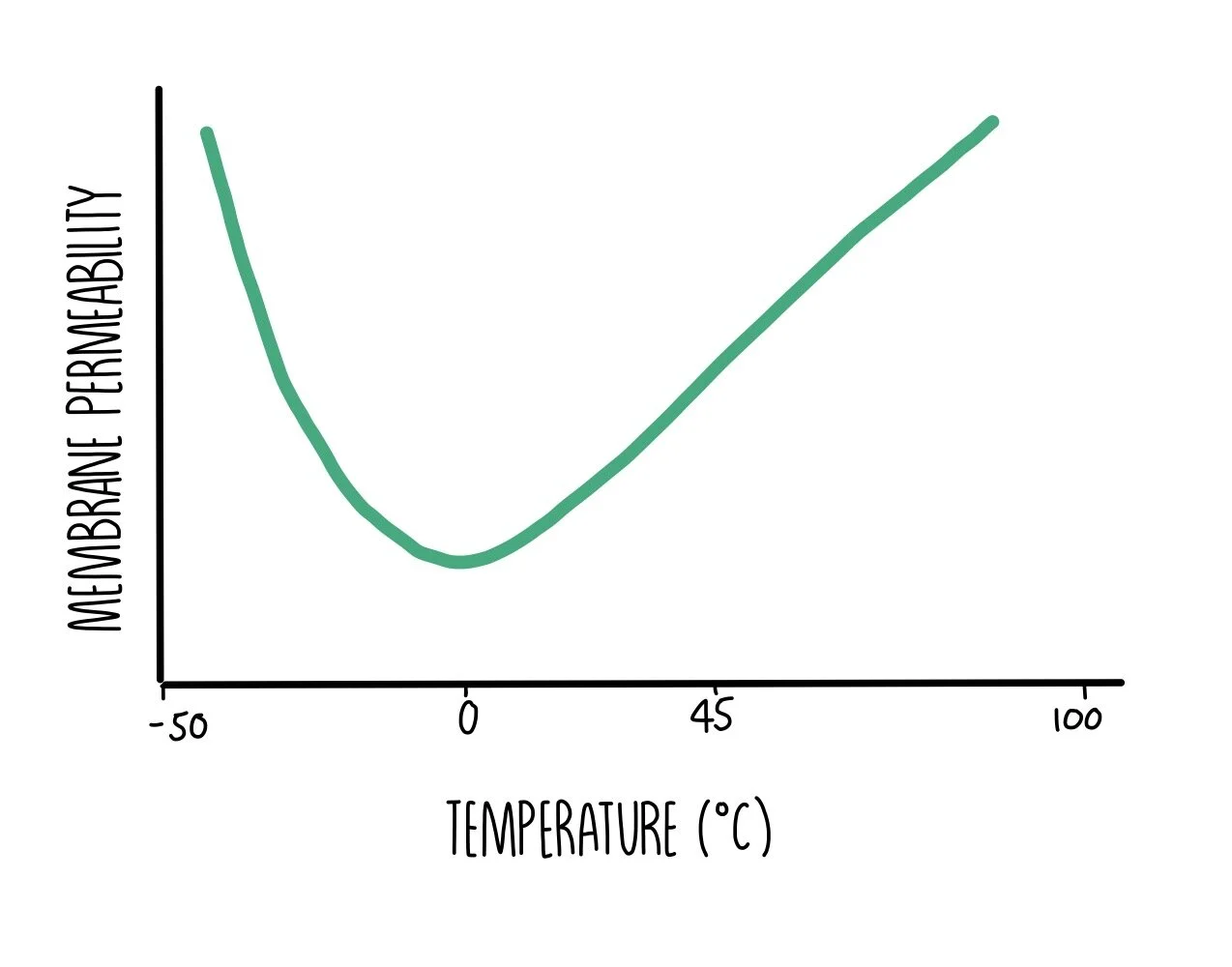 Biological Membranes (A-Level) — the science sauce